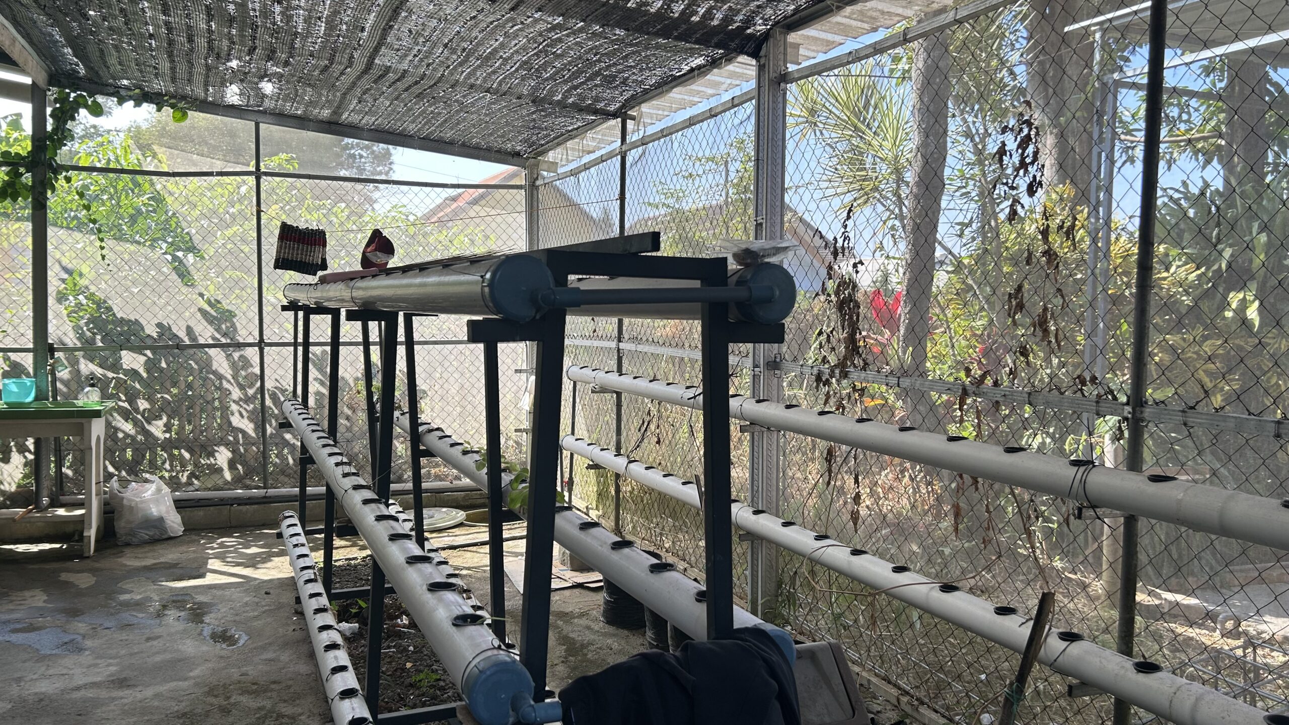 Greenhouse